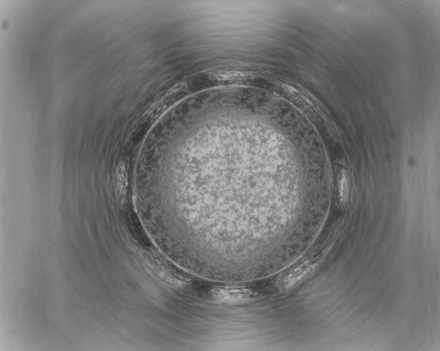 X0000059100372200510211638