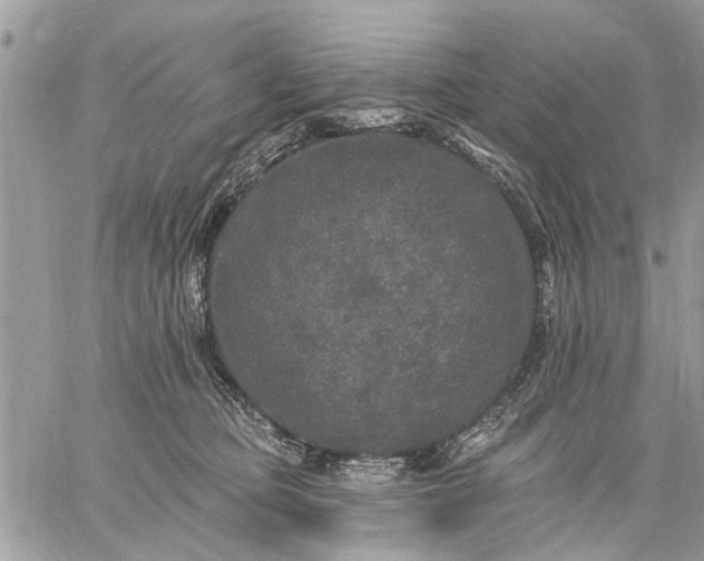 X0000059100373200510211638