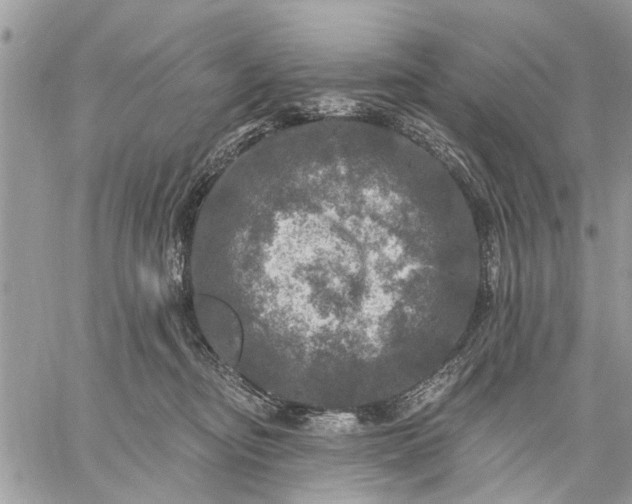 X0000059100374200510211638