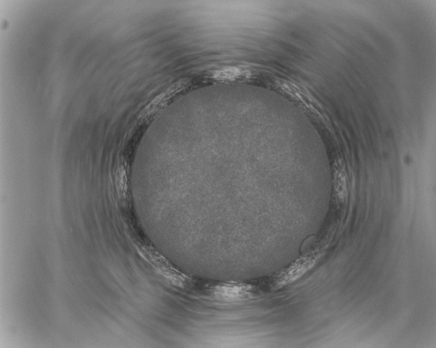 X0000059100375200510211638