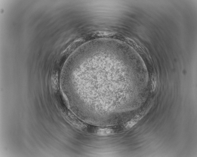 X0000059100376200510211638