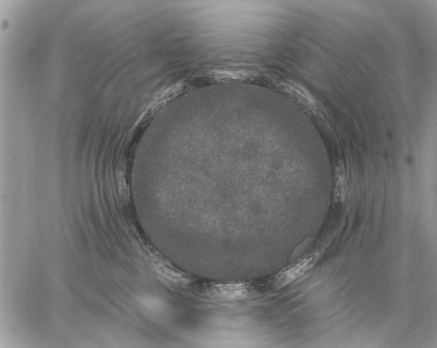 X0000059100377200510211638