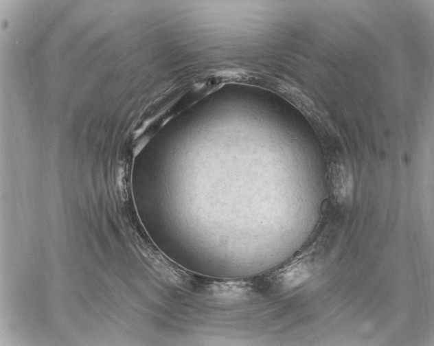 X0000059100378200510211638