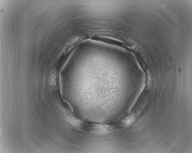 X0000059100379200510211638