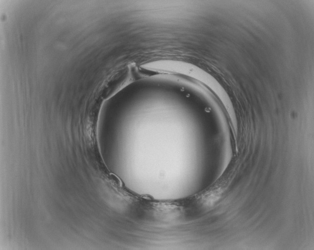 X0000059100380200510211638