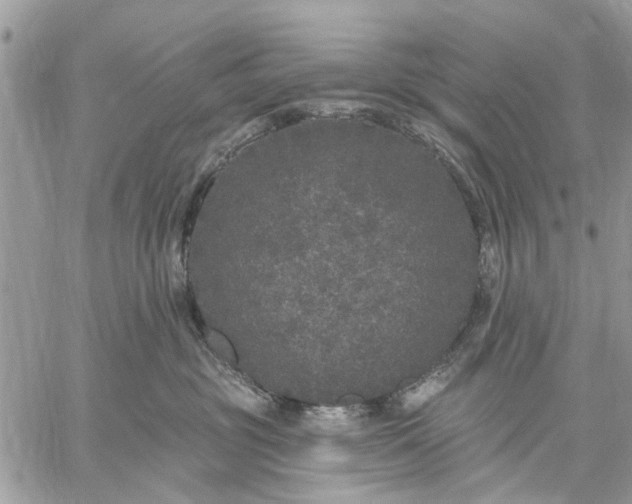 X0000059100381200510211638