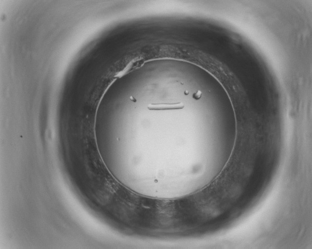 X0000059100382200510211639