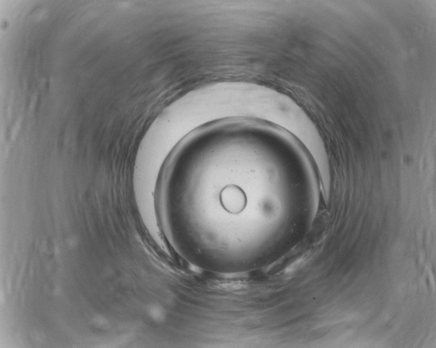 X0000059100383200510211639