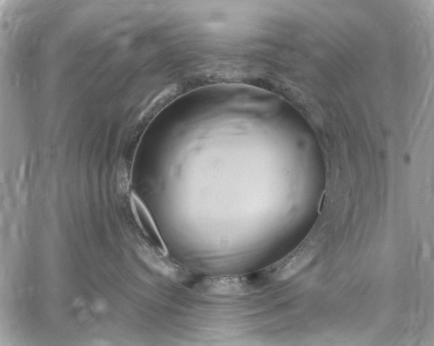 X0000059100384200510211639