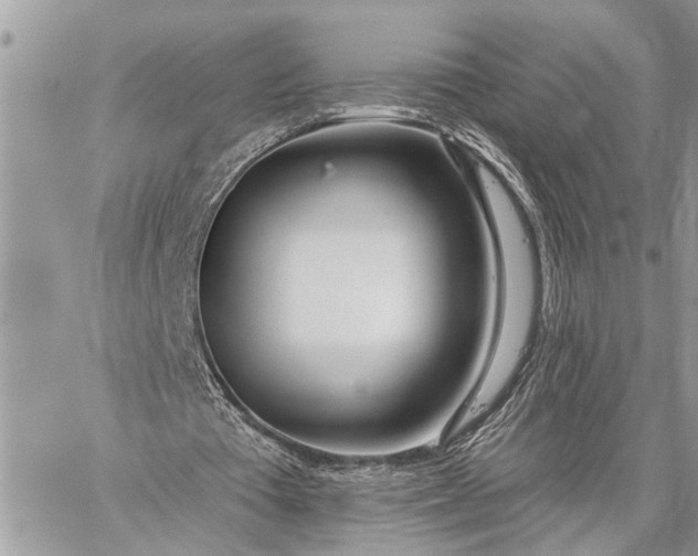 X0000059100385200510211638