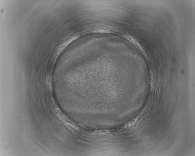 X0000059100386200510211638