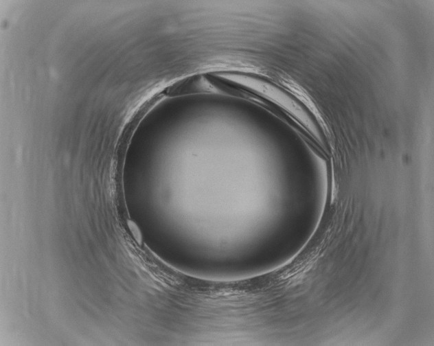 X0000059100387200510211638