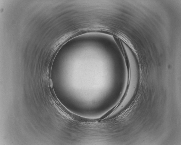 X0000059100389200510211638