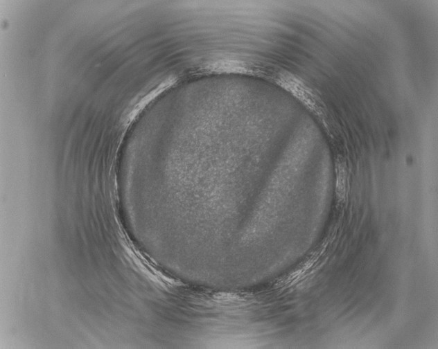 X0000059100390200510211638