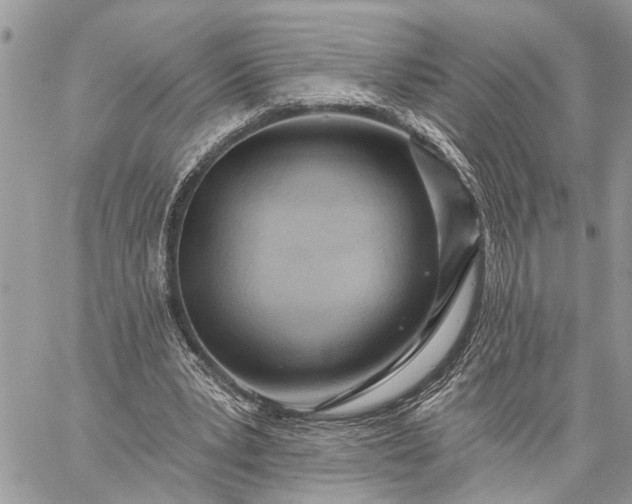 X0000059100391200510211638