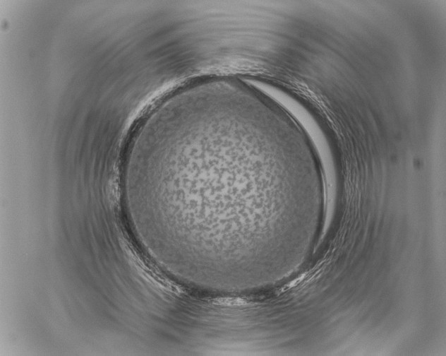 X0000059100392200510211638