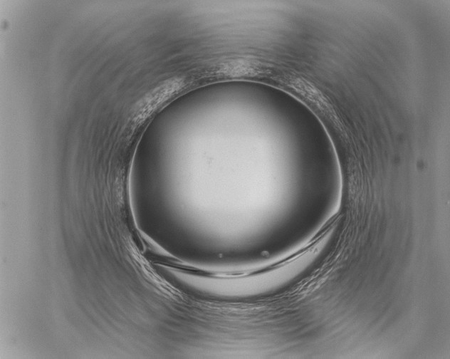 X0000059100393200510211638