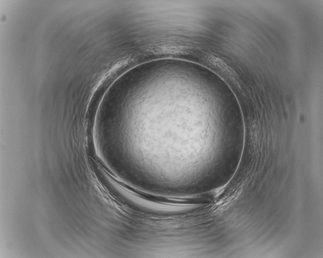 X0000059100395200510211638