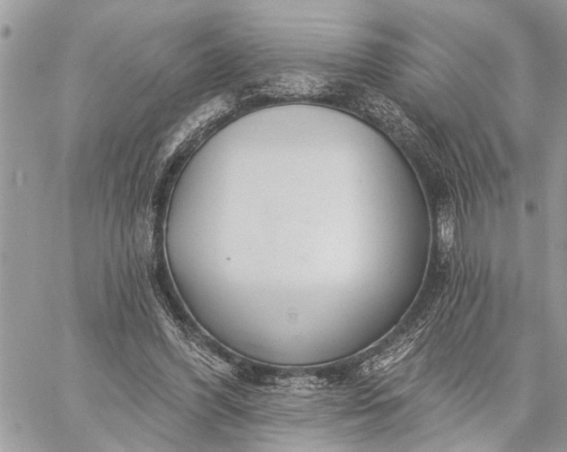 X0000059100396200510211638