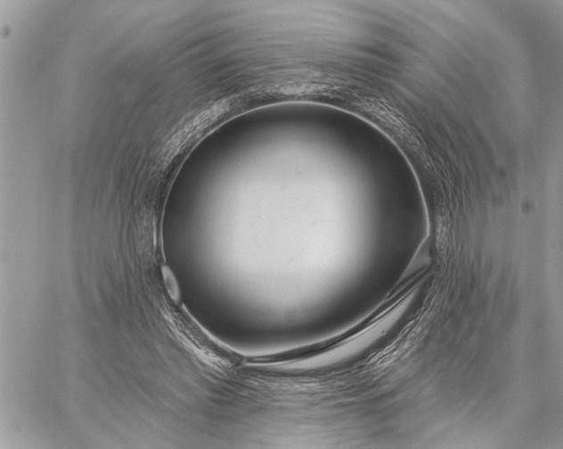 X0000059100397200510211638