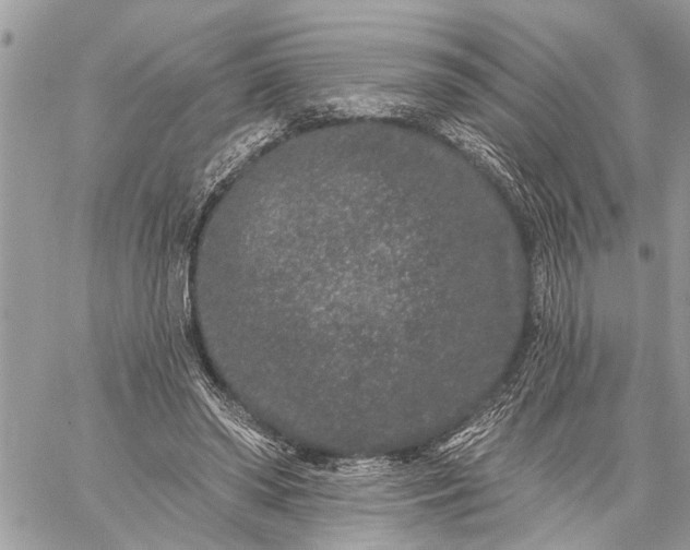 X0000059100398200510211638