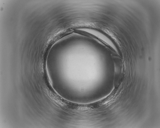 X0000059100399200510211638