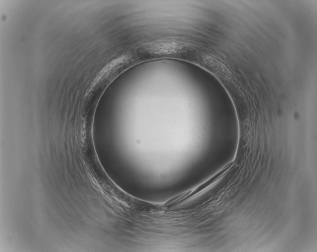 X0000059100400200510211638