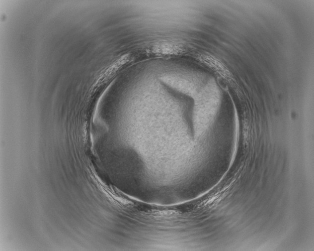 X0000059100401200510211637