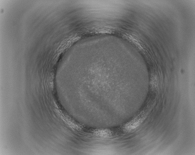 X0000059100402200510211637