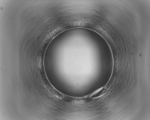 X0000059100403200510211637