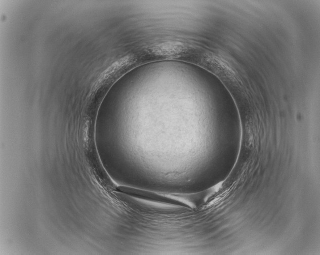 X0000059100404200510211637