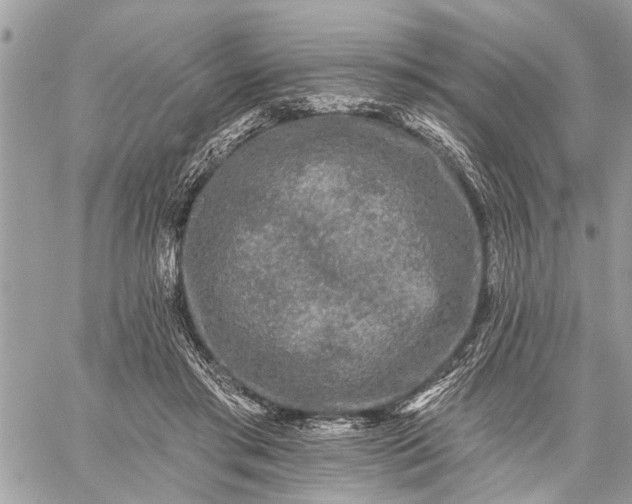 X0000059100405200510211637