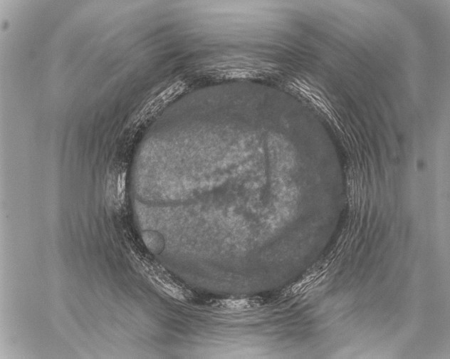 X0000059100406200510211637