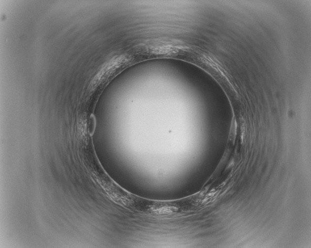 X0000059100407200510211637