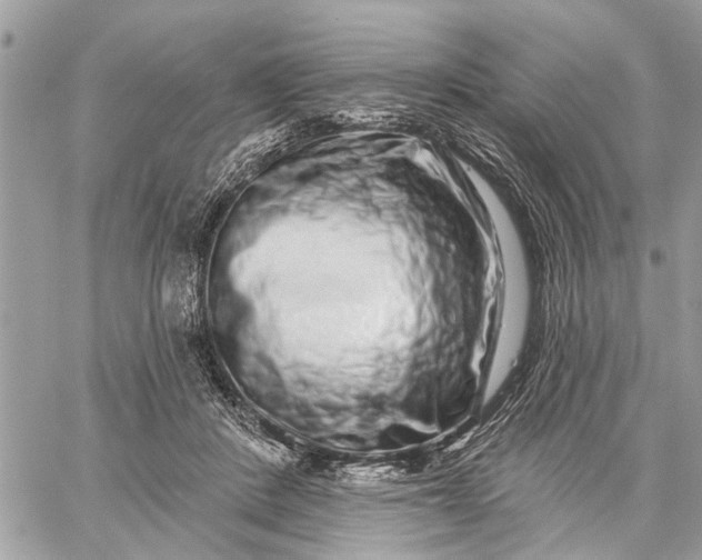 X0000059100408200510211637