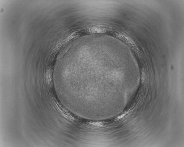 X0000059100409200510211637