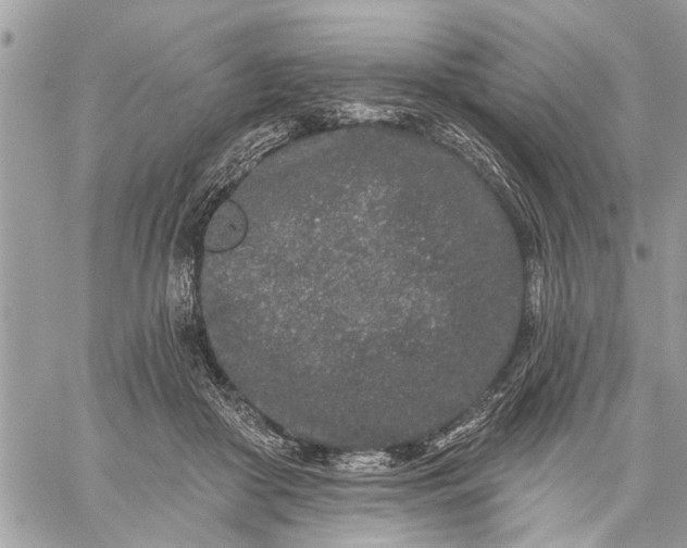 X0000059100410200510211637