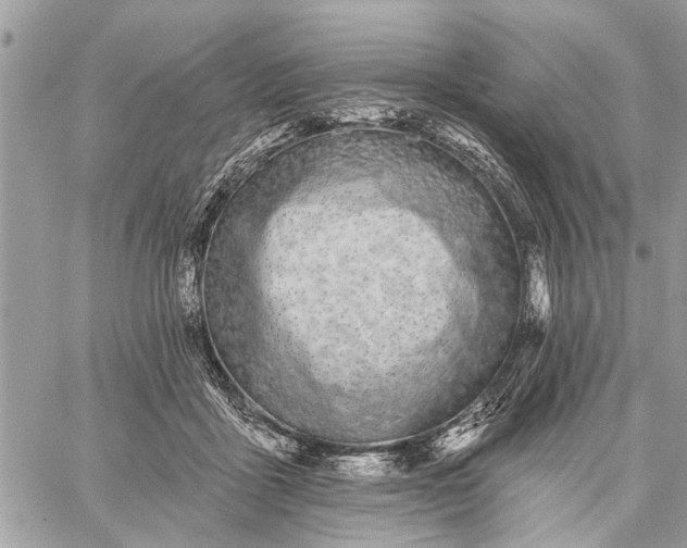 X0000059100411200510211637