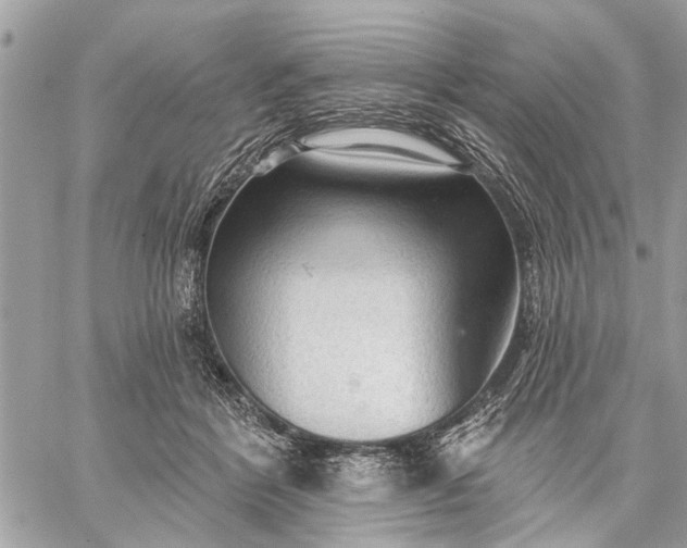 X0000059100412200510211637