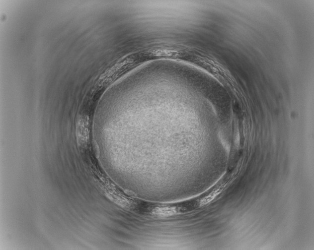 X0000059100413200510211637