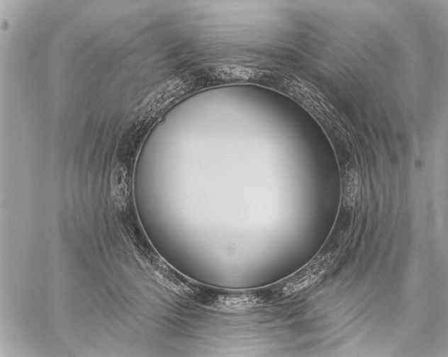 X0000059100414200510211637