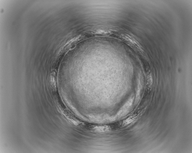 X0000059100415200510211637