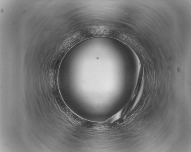 X0000059100416200510211637