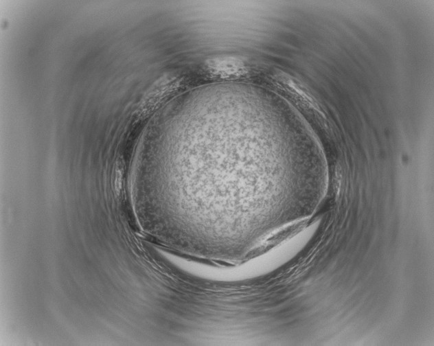 X0000059100417200510211637