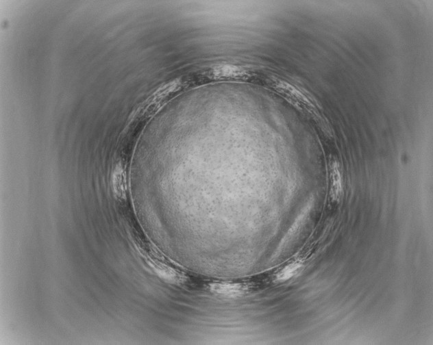 X0000059100419200510211637