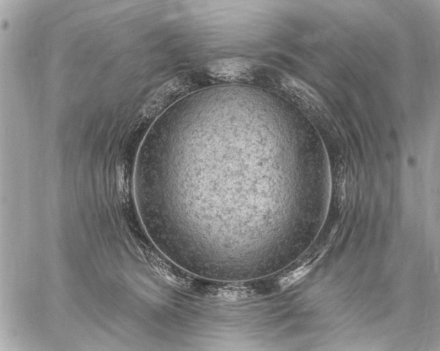 X0000059100420200510211637