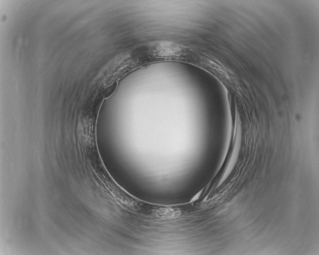 X0000059100421200510211637