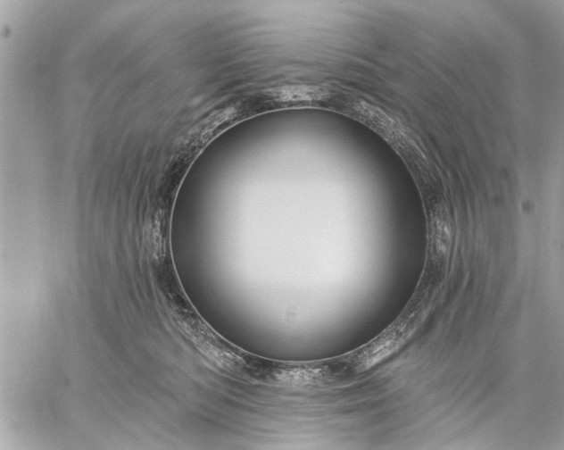 X0000059100422200510211637