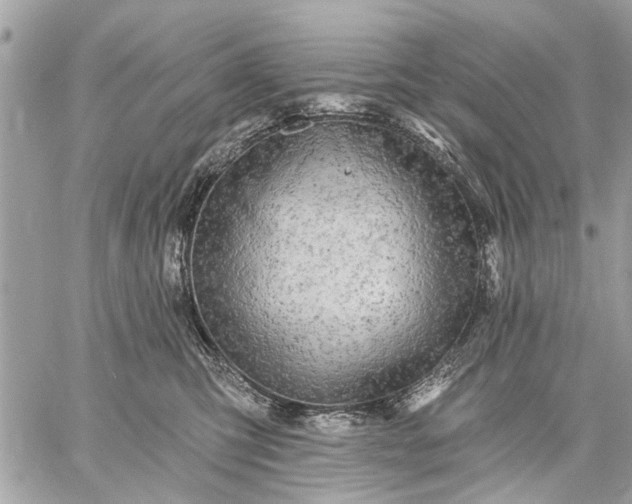 X0000059100423200510211637