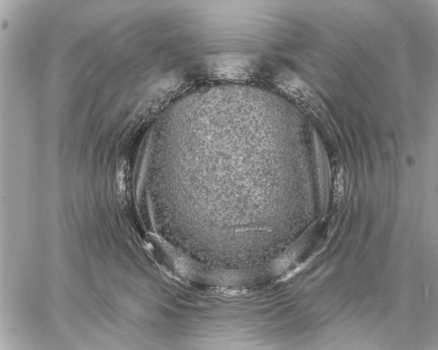 X0000059100424200510211637